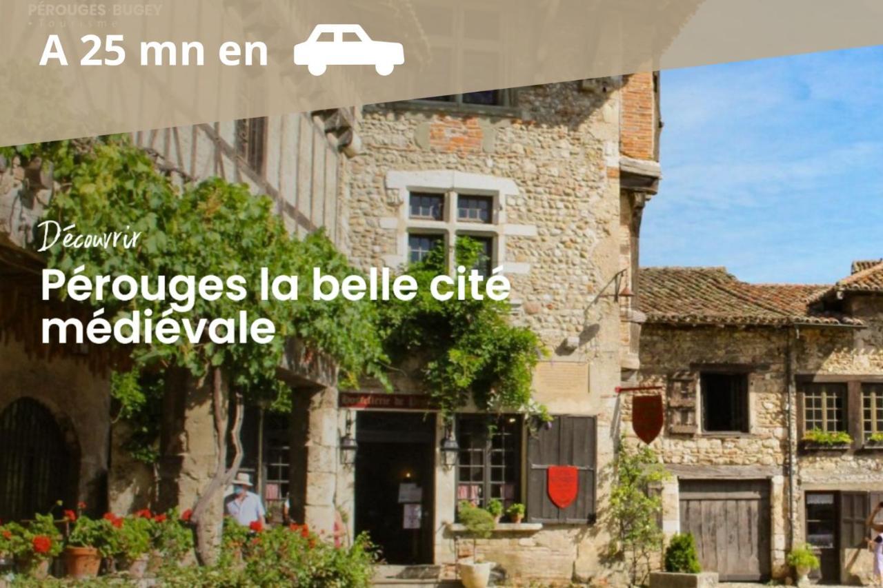 Pont-dʼAin L'Emeraude - 1 A 4P - Wifi Fibre - Parking Gratuit מראה חיצוני תמונה