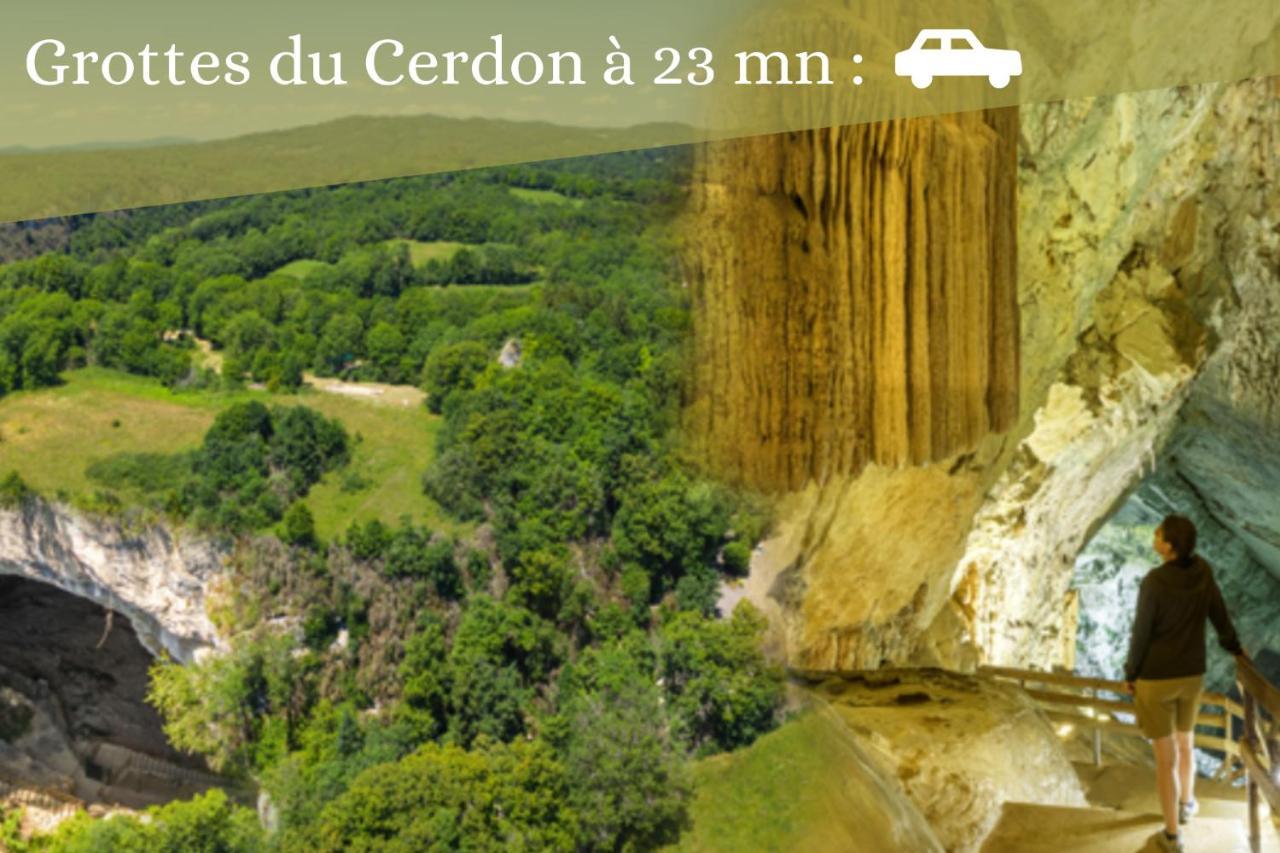 Pont-dʼAin L'Emeraude - 1 A 4P - Wifi Fibre - Parking Gratuit מראה חיצוני תמונה