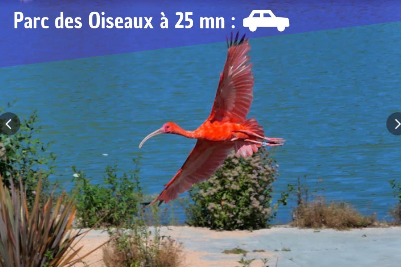 Pont-dʼAin L'Emeraude - 1 A 4P - Wifi Fibre - Parking Gratuit מראה חיצוני תמונה
