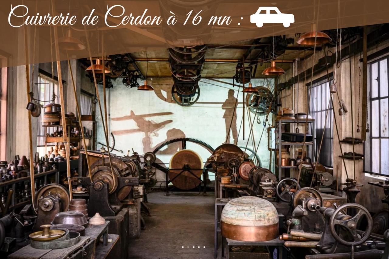 Pont-dʼAin L'Emeraude - 1 A 4P - Wifi Fibre - Parking Gratuit מראה חיצוני תמונה